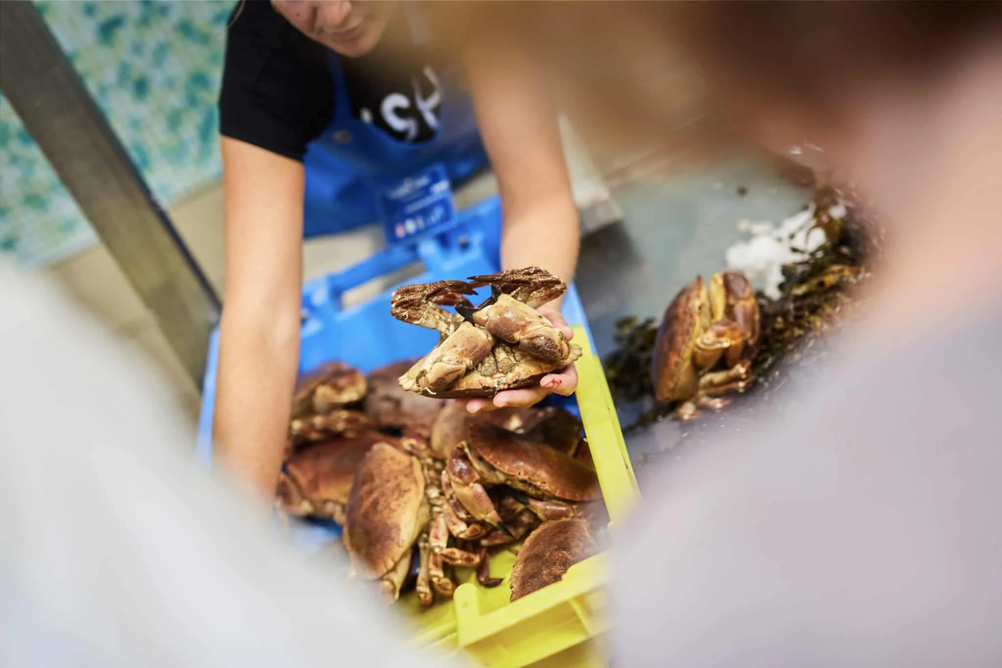 fruits de mer presquile rhuis