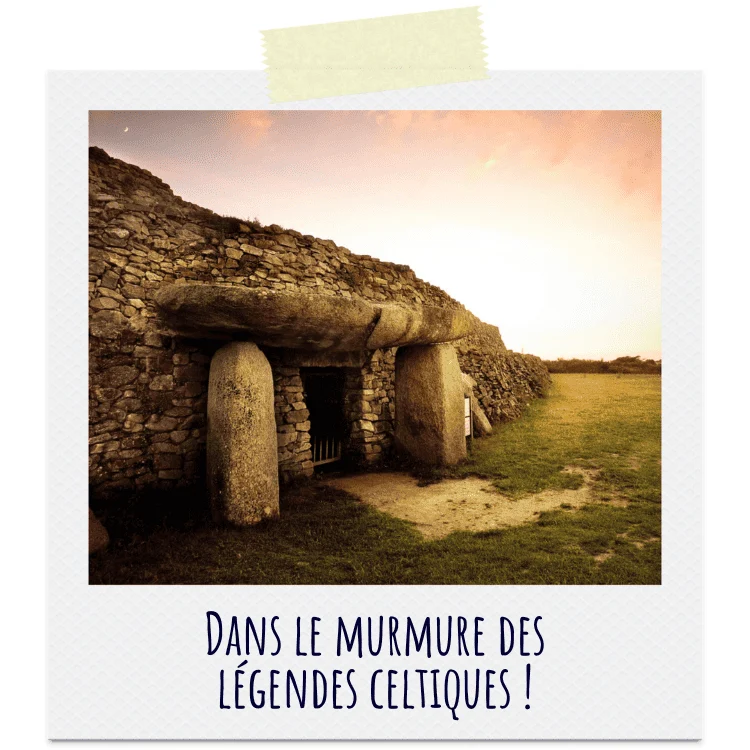 illustration dans le murmure des legendes celtiques