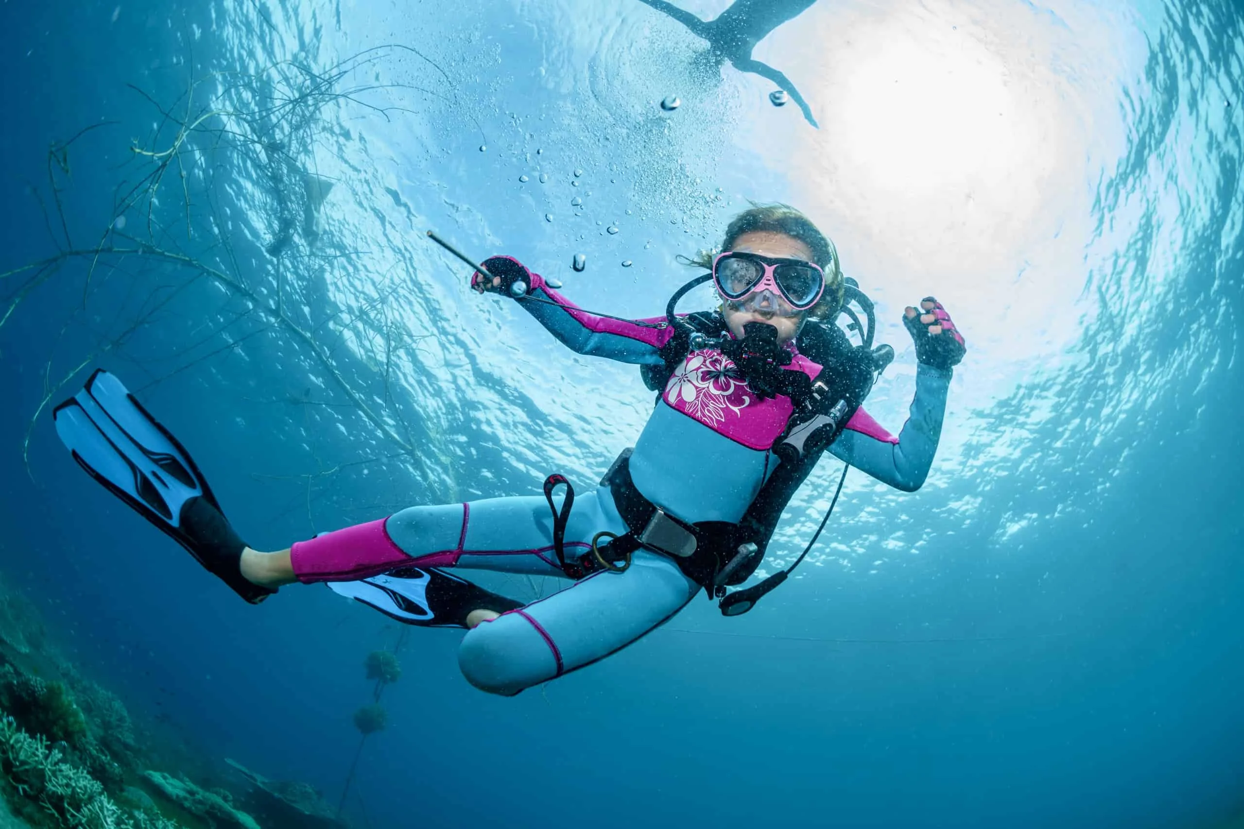 plongee sous marine escale en presquile